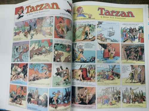 Imagen 7 de 10 de Tarzan 1931 / 1950 * Hal Foster Y Burne Hogarth * 18 Tomos *