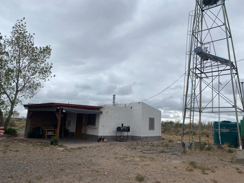 Imagen 2 de 15 de Chacra En Alquiler - Galpón - Ciudad Industrial - Neuquén