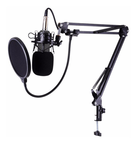 Microfono Con Condensador Con Soporte Estudio Podcast Febo
