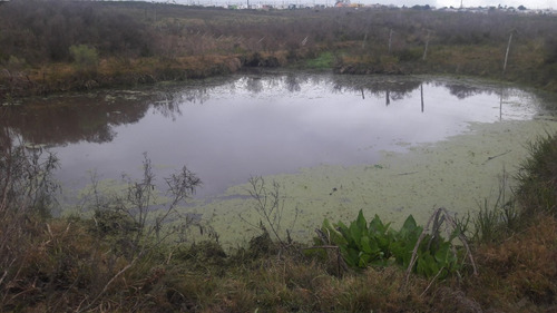 7 Hectáreas Y Media,chacra A La Venta En Canelones