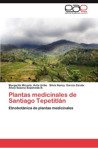 Libro: Plantas Medicinales De Santiago Tepetitlán: Etnobotán