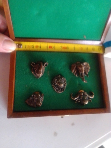 Pines, Colección Animales Salvajes Africanos