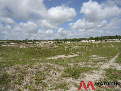 Imagem 6 de 7 de Terreno Com 5ha Ótimo Para Granja