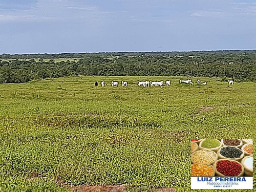Imagem 1 de 15 de Fazenda À Venda No Vale Do Araguaia / Divinópolis - To - (dupla Aptidão) - 1705