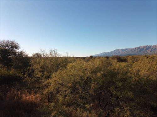 Imagen 2 de 5 de Lote En Venta En Merlo, A 15 Minutos De La Plaza.