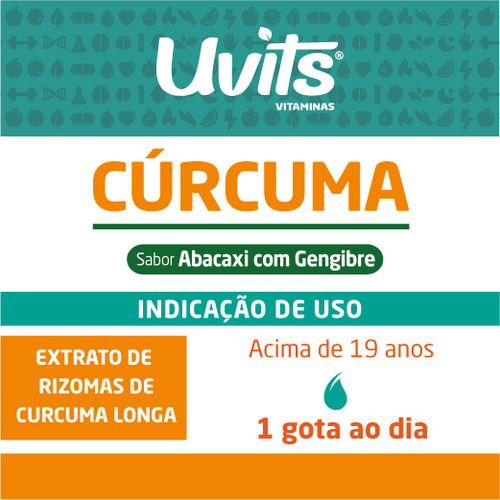 Curcuma Longa Pura Liquida 30ml Abacaxi Com Gengibre - Uvits