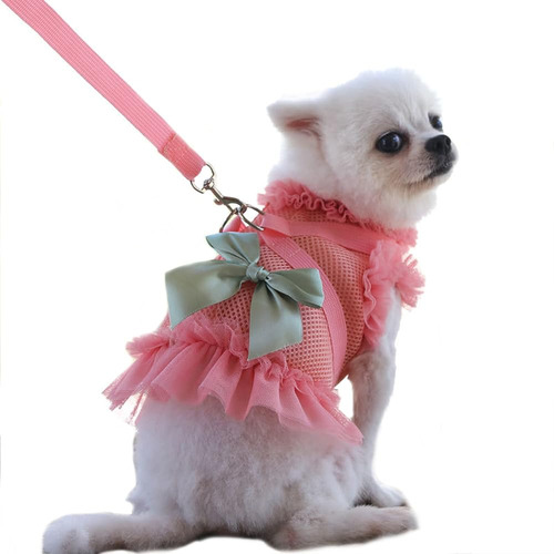 Bbeart Pet Clothes, Dog Harness Leash Set Puppy Princess Dre