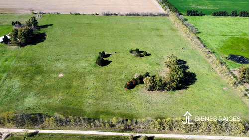Alquiler De Campo De 10 Has. En Los Cardales