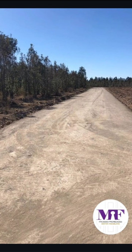 Se Venden Parcelas De 5000 Mts2 A 20 Min De Chillan