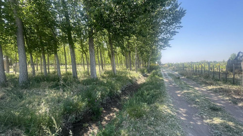Imagen 3 de 26 de Finca En Las Paredes Con Bosque De Álamos, 2 Casas Y Galpón
