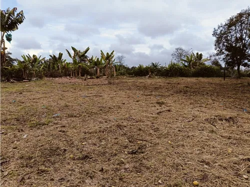 Se Venden Lotes En Quimbaya - Quindío