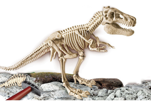 Imagen 2 de 3 de T Rex Dinosaurio Arqueologia Ciencia Juego Clementoni