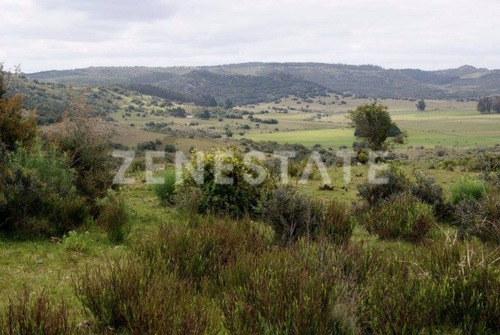 Venta De Chacra En Minas, Lavalleja.
