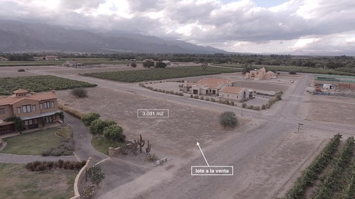 Terreno - Cafayate
