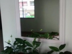 Imagem 18 de 21 de Apartamento À Venda Em Cambuí - Ap000154