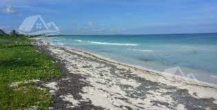 Terreno En Venta En  Xcalak Mahahual  Quintana Roo Rcs6953