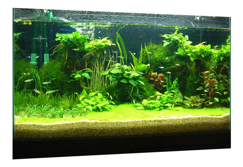 A Cartel De Paisaje De Acuario 122x46cm Tipo C - 122x46cm