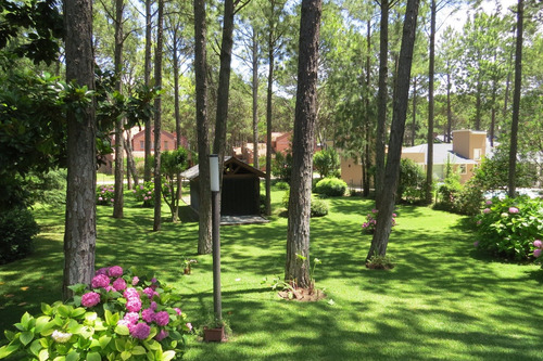 Hermoso Lote - Zona Tridente - De Las Musas - Parquizado - 712 M²