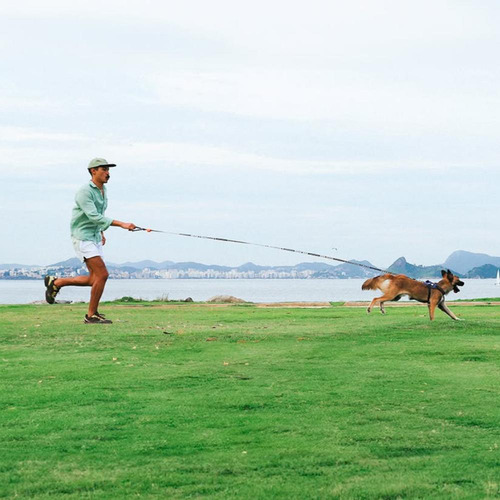 Guia Para Cachorro 3m Long Leash Zee Dog Cor Leopard