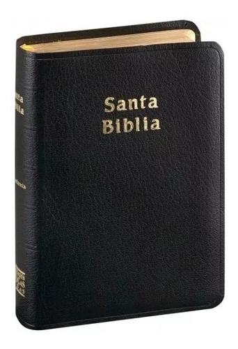 Biblia Compacta Piel Negro - Rvr 1960