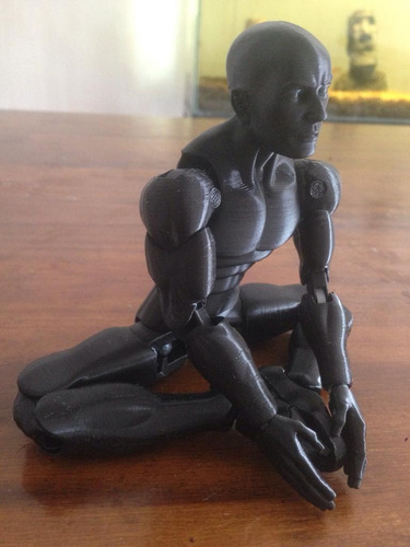 Imagen 6 de 10 de Maniquí Muñeco Articulado 24cm Para Dibujo Y Animación 3d