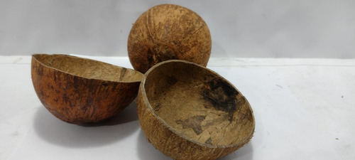 Coité De Coco Com Base Cuia Baiano Caboclo Umbanda Candomblé
