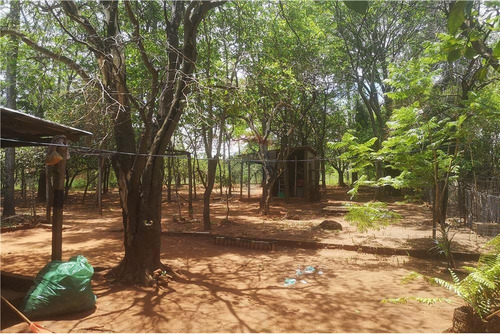 Imagen 5 de 11 de Vendo Casa En Paraguarí: 2 Habitaciones Y Un Baño.