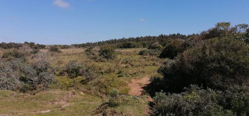 Venta De 30 Hectáreas De Campo En Garzón Maldonado (ref: Ksk-222)