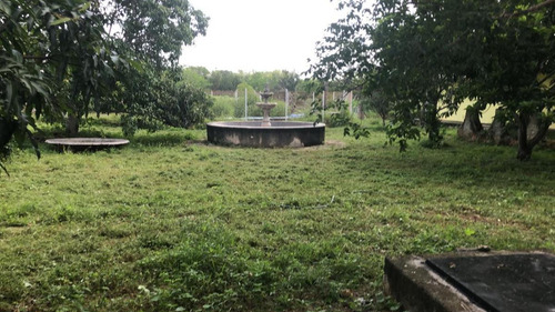 Imagen 15 de 30 de Hacienda En Venta - En San Antonio Tehuitz, Yucatán