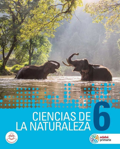 Ciencias De La Naturaleza 6, De Edebé, Obra Colectiva. Editorial Edebé, Tapa Blanda En Español