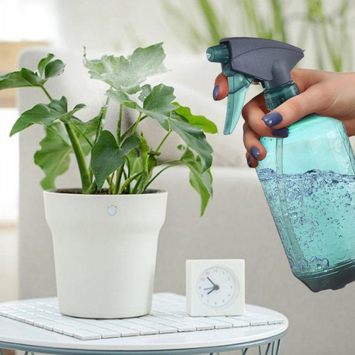 Botella De Spray De Agua Para Plantas Regadera De 800 Ml Par