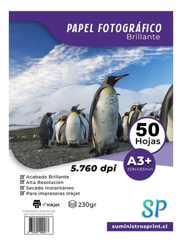 Papel Fotográfico Glossy A3+ 230gr Alto Brillo X 50 Hojas