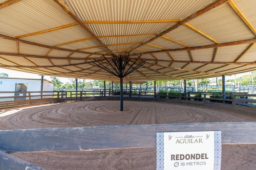 Imagem 22 de 30 de Fazenda À Venda No Bairro Sarapuí - Sarapuí/sp - O-8420-17443