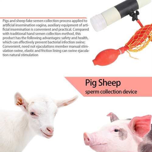 Colección De Semen De Simulación De Vagina De Oveja Cerdo Ar