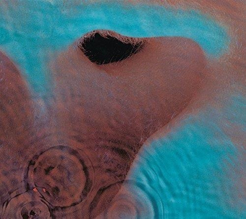 Cd Pink Floyd Meddle