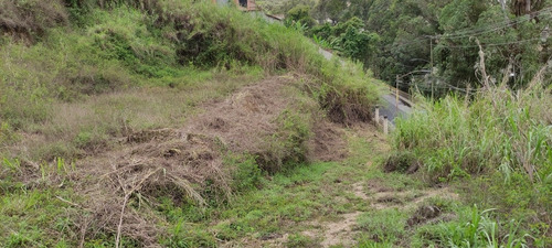 Imagen 3 de 7 de Colinas De Carrizal