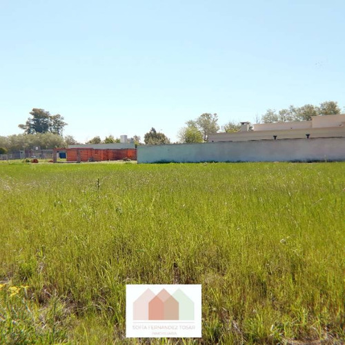 Imagen 3 de 6 de Lote En Venta En La Martina