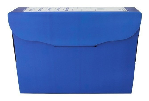 Caja Archivo De Cartón Azul 9cm Pancrhome