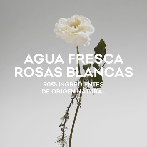 Imagen 4 de 5 de Adolfo Dominguez Agua Fresca de Rosas Blancas EDT 60 ml para mujer