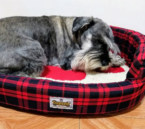 Cama Escocia 70x65x15 T4 Cojin Desmontable Perro Dogmania