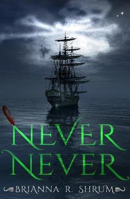 Libro Never Never - Brianna Shrum