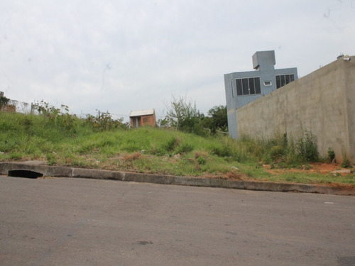 Imagem 3 de 10 de Terreno - Te00024 - 68718693