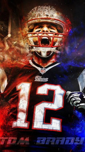 Jersey Para Perro T3 Patriotas Nfl FĂștbol Americano New Engl