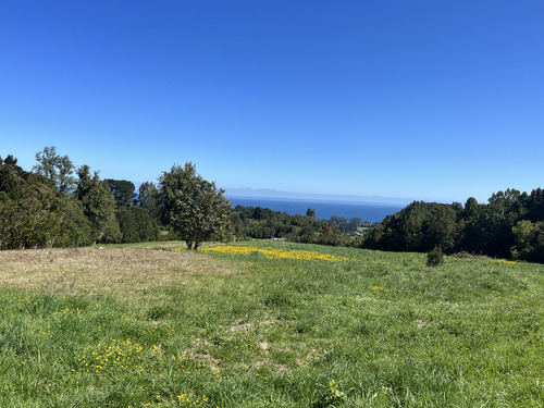 Preciosas Parcelas Con Lindas Vistas En Puerto Varas.