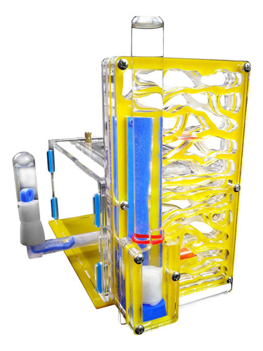 Nido De Regalo Para Hormigas Con Zona De Acrílico Para Alime