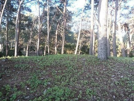 Imagen 2 de 4 de Terreno En Venta En Mar De Las Pampas