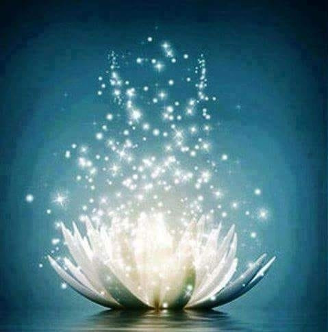 Imagen 9 de 10 de Lectura De Tarot - Vidente Natural - Astrología.
