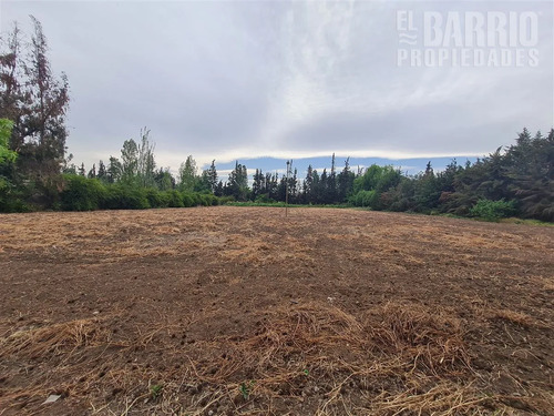 Sitio En Venta En Colina