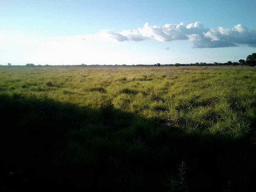 Imagen 16 de 26 de Finca En Venta ,calabozo Guarda Tinajas