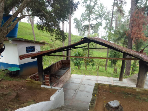 Solo Clientes: Finca En Venta Montalban (mh)